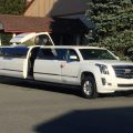 Top 5 Limo Rental for Wedding in Florida