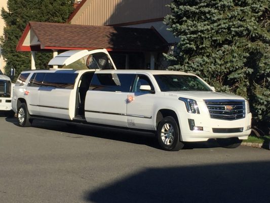 Top 5 Limo Rental For Wedding In Florida